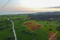 5352 SQM Land in Agios Theodoros Larnacas (Larnaca) for sale 