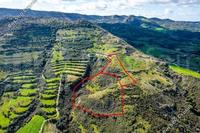 17559 SQM Plot in Dora (Limassol) for sale 