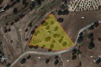 6689 SQM Land · Pachna (Limassol) for sale 
