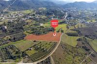 9700 SQM Land in Kalo Chorio Oreinis (Nicosia) for sale 