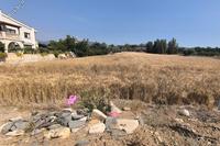 2899 SQM Land · Poli Chrysochous (Paphos) for sale 