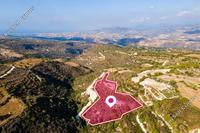 10368 SQM Land · Pano Akourdalia (Paphos) for sale 
