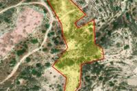 9031 SQM Land · Paramytha (Limassol) for sale 