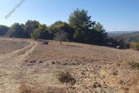 5352 SQM Land · Kinousa (Paphos) for sale 