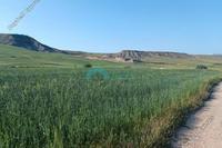 5092 SQM Land · Kato Moni (Nicosia) for sale 