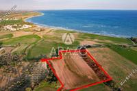 10368 SQM Land in Mazotos (Larnaca) for sale 