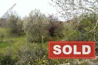 3867 SQM Land in Kissonerga (Paphos) for sale 