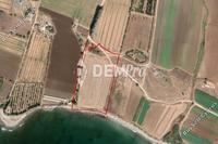 24081 SQM Land in Timi (Paphos) for sale 
