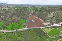 21378 SQM Land · Agios Theodoros Larnacas (Larnaca) for sale 
