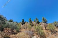 1487 SQM Land in Fterikoudi (Nicosia) for sale 