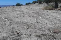 5855 SQM Land in Agios Dimitrianos (Paphos) for sale 