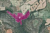 20068 SQM Land in Agios Theodoros Larnacas (Larnaca) for sale 