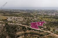 8697 SQM Land in Psematismenos (Larnaca) for sale 