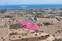 29767 SQM Land in Mazotos (Larnaca) for sale 