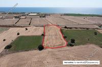 6792 SQM Plot · Mazotos (Larnaca) for sale 
