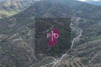 12375 SQM Land in Fikardou (Nicosia) for sale 