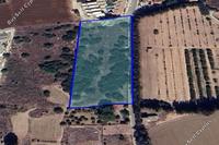 20622 SQM Plot · Trachoni Lemesou (Limassol) for sale 