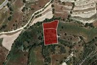 4684 SQM Land in Dora (Limassol) for sale 