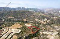10368 SQM Land · Dora (Limassol) for sale 