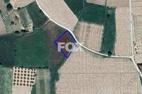 4225 SQM Land in Polemi (Paphos) for sale 