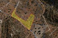 16723 SQM Land in Ypsonas (Limassol) for sale 
