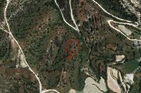 3512 SQM Land in Dora (Limassol) for sale 