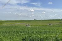 5686 SQM Land in Peristerona Lefkosias (Nicosia) for sale 
