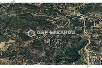 1617 SQM Plot in Trimiklini (Limassol) for sale 