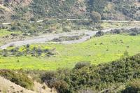 6021 SQM Land in Pano Pyrgos (Nicosia) for sale 