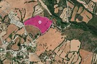 23821 SQM Land in Kato Akourdalia (Paphos) for sale 