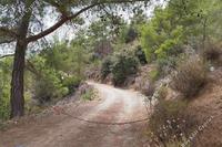 33780 SQM Land in Louvaras (Limassol) for sale 