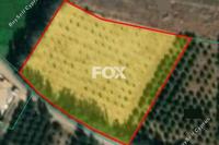7913 SQM Land · Mandria Pafou (Paphos) for sale 