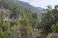33780 SQM Land · Louvaras (Limassol) for sale 