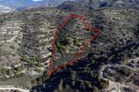 12041 SQM Land in Dora (Limassol) for sale 