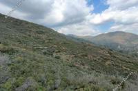 12041 SQM Land · Lythrodontas (Nicosia) for sale 