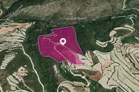 75206 SQM Land in Koili (Paphos) for sale 