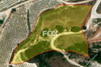6021 SQM Land in Kallepeia (Paphos) for sale 