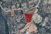 13060 SQM Land in Dora (Limassol) for sale 