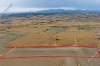 6569 SQM Land in Pera Orinis (Nicosia) for sale 