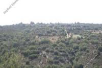 22241 SQM Land · Polemi (Paphos) for sale 