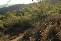 5017 SQM Land in Vavatsinia (Larnaca) for sale 