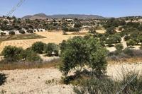 32615 SQM Land in Monagroulli (Limassol) for sale 