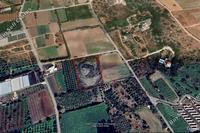 7109 SQM Land in Kissonerga (Paphos) for sale 