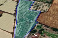 8910 SQM Plot in Pera Orinis (Nicosia) for sale 