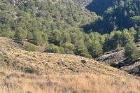 1673 SQM Land in Mosfili (Nicosia) for sale 
