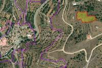5686 SQM Plot in Agia Marina Xyliatou (Nicosia) for sale 