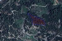7024 SQM Land in Foini (Limassol) for sale 