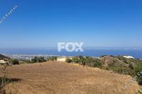 5017 SQM Land in Koili (Paphos) for sale 