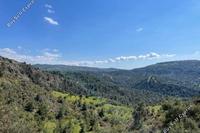 45820 SQM Land in Pelathousa (Paphos) for sale 