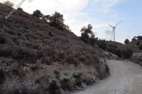 23078 SQM Land in Agia Anna (Larnaca) for sale 